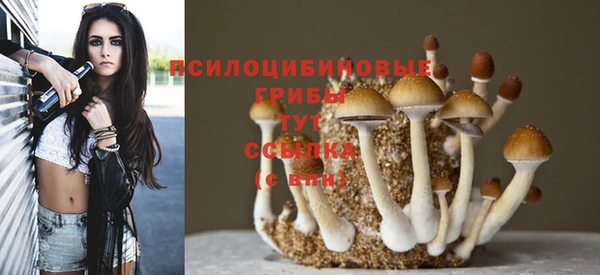 ешки Зеленокумск