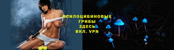 кокс Инта