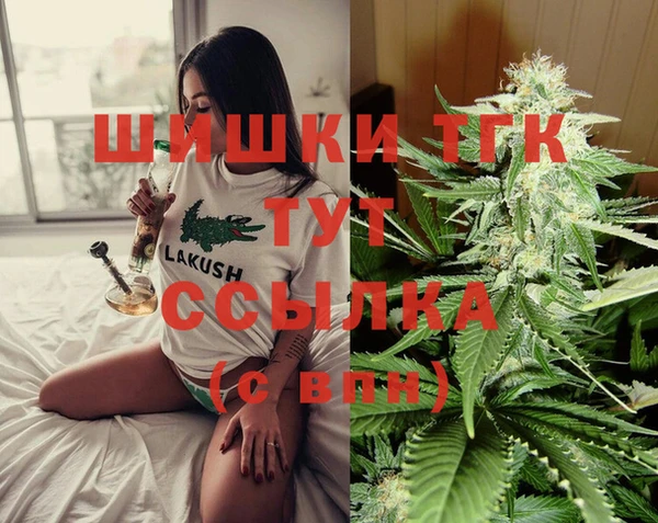 тгк Зеленодольск