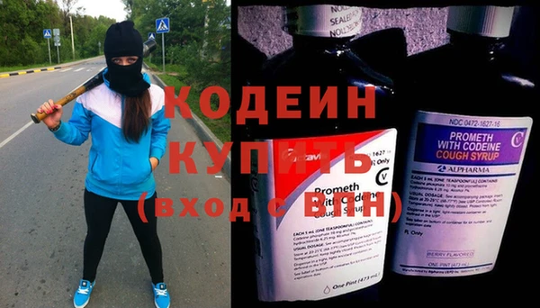 дурь Каменка