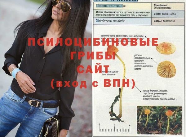 а пвп мука Зерноград