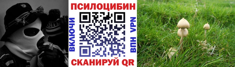 Купить закладки  Корсаков  Галлюциногенные грибы Magic Shrooms 